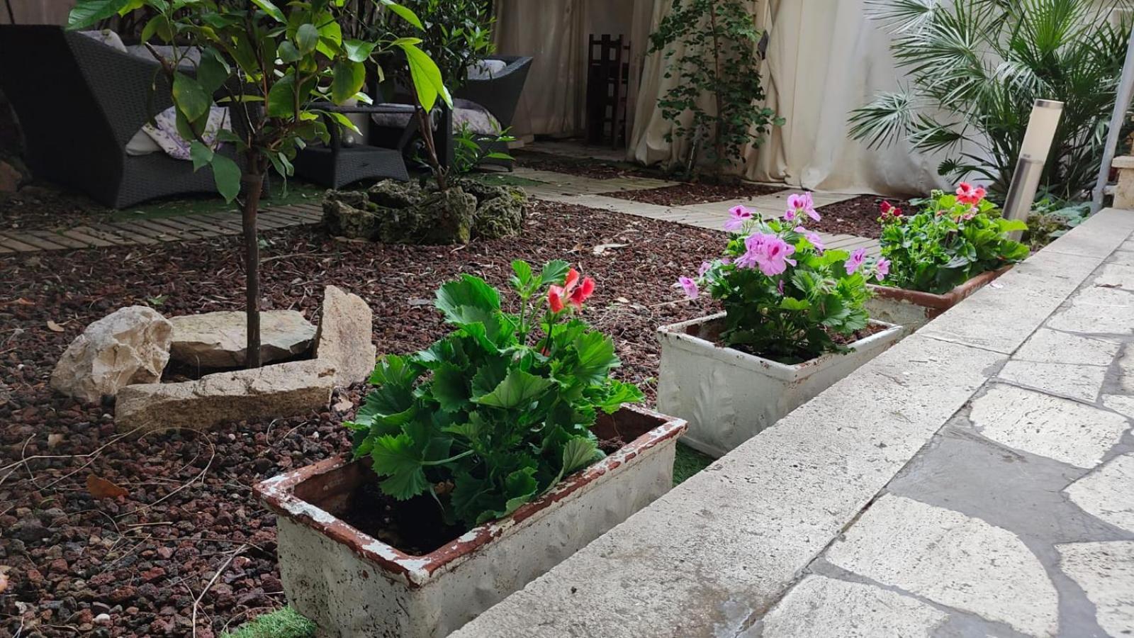 Home Garden Rome Casa Kangen Exteriér fotografie